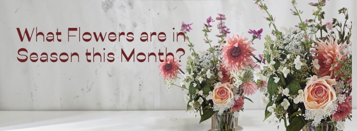 What flowers are in season at the moment?