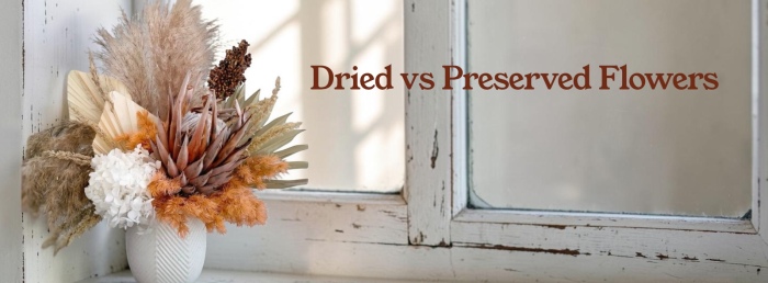 Preserved & Dried Flowers - What Are They?