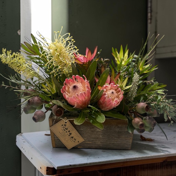 Everest of Native Flowers | Preserved Fleurs Mornington